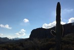 photo thumbnail #5