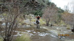 photo thumbnail #1