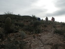 photo thumbnail #1