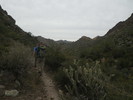 photo thumbnail #13