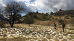 photo thumbnail #10