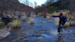 photo thumbnail #4