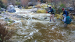 photo thumbnail #5