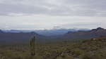photo thumbnail #10