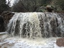 photo thumbnail #4