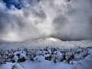 photo thumbnail #11