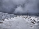 photo thumbnail #13