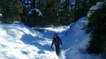 photo thumbnail #2