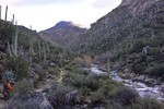 photo thumbnail #3