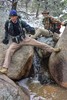 photo thumbnail #4