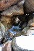 photo thumbnail #10