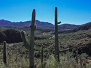 photo thumbnail #2
