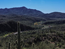 photo thumbnail #7