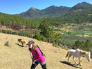photo thumbnail #3