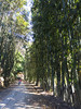 photo thumbnail #9