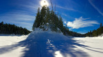 photo thumbnail #13