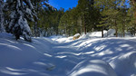 photo thumbnail #7