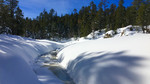 photo thumbnail #8