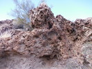 photo thumbnail #5