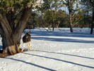 photo thumbnail #10