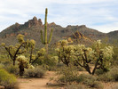 photo thumbnail #11