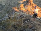 photo thumbnail #7
