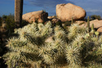 photo thumbnail #14
