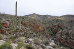 photo thumbnail #4
