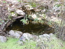 photo thumbnail #8