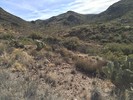 photo thumbnail #13