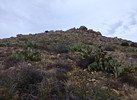 photo thumbnail #5