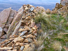 photo thumbnail #12