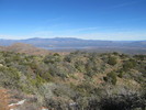 photo thumbnail #10