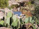 photo thumbnail #12