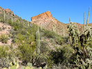 photo thumbnail #13