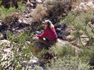 photo thumbnail #14