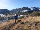 photo thumbnail #4