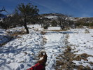 photo thumbnail #7