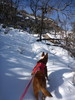 photo thumbnail #10