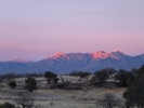 Featured Full Photo
