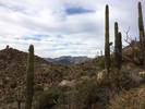 photo thumbnail #5
