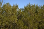 photo thumbnail #15