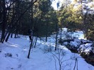 photo thumbnail #11