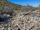 photo thumbnail #14