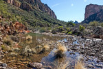 photo thumbnail #15