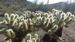 photo thumbnail #8
