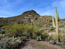 photo thumbnail #4