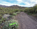 photo thumbnail #5