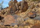photo thumbnail #8