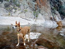 photo thumbnail #3